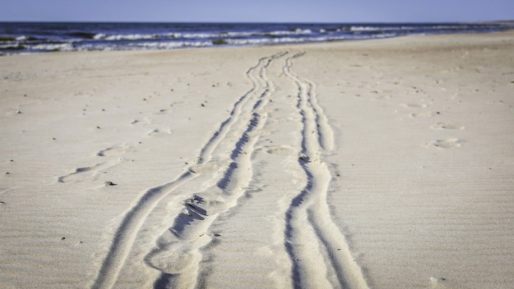 trace, way, path-4164676.jpg